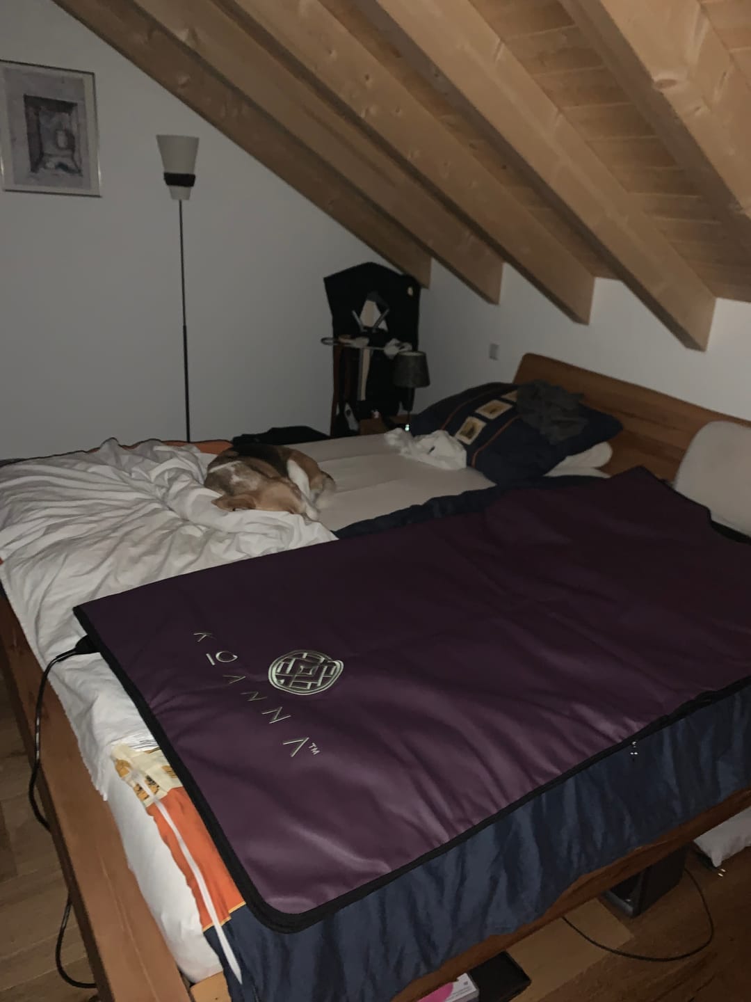 Customer photo review of Koanna® Infrared Sauna Blanket