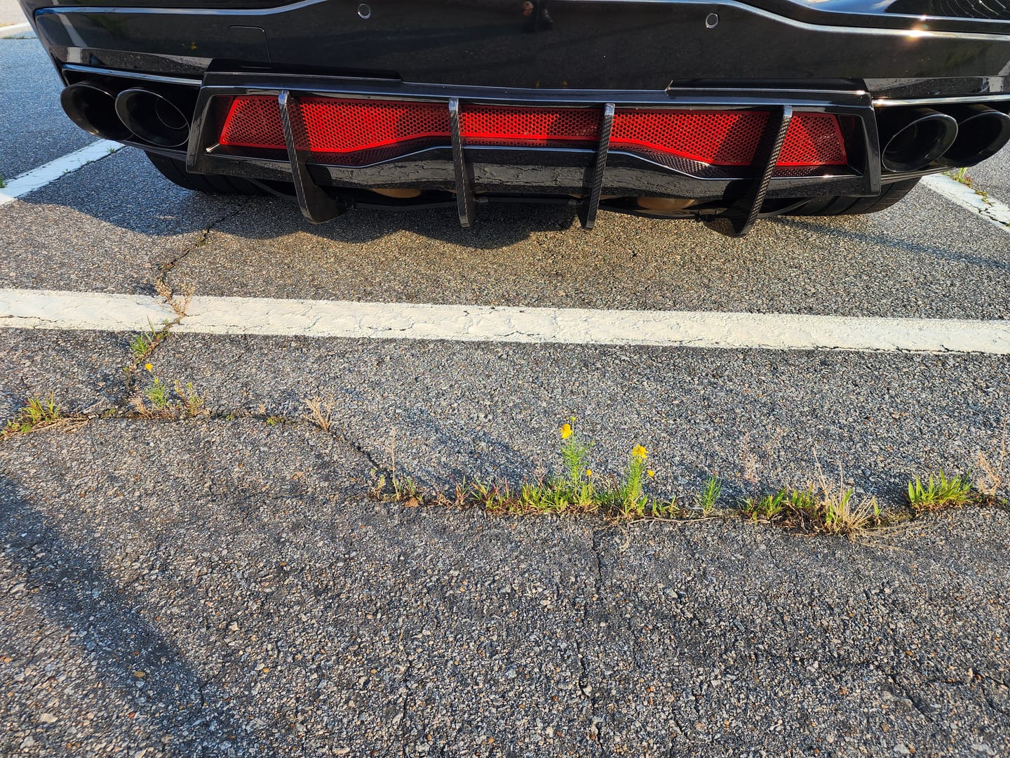 Customer photo review of Corvette C8 Stingray DRY CARBON FIBEr Add-On Rear Diffuser Fin