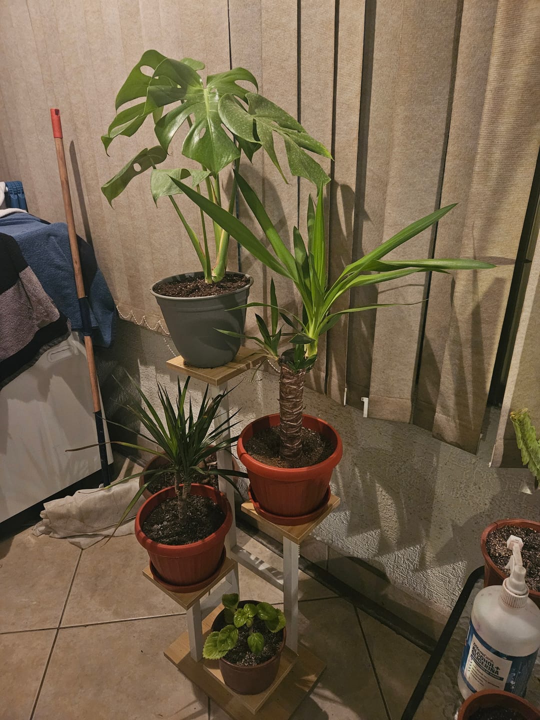 Customer photo review of Estante para Plantas de Madera | Soporte Decorativo Multiuso