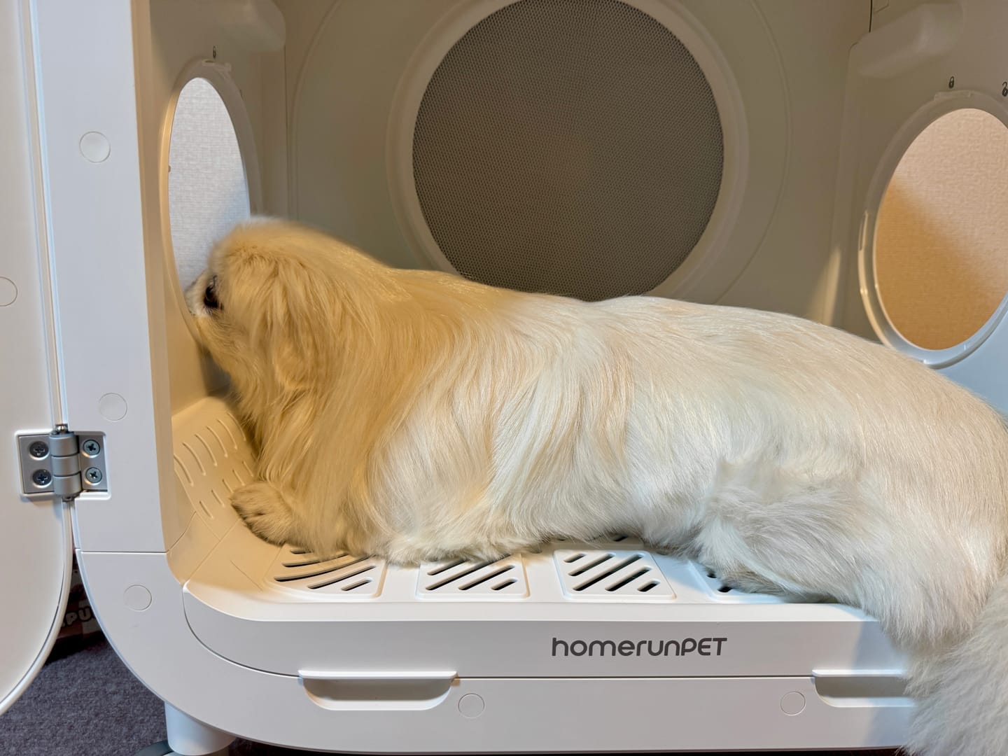 Customer photo review of homerunPET 「Drybo Air」ペットドライヤーハウス（80L）