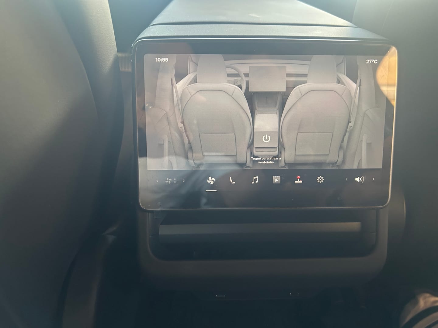 Customer photo review of Front Grille Mesh Radiator Cover for Model Y (Dual Section)