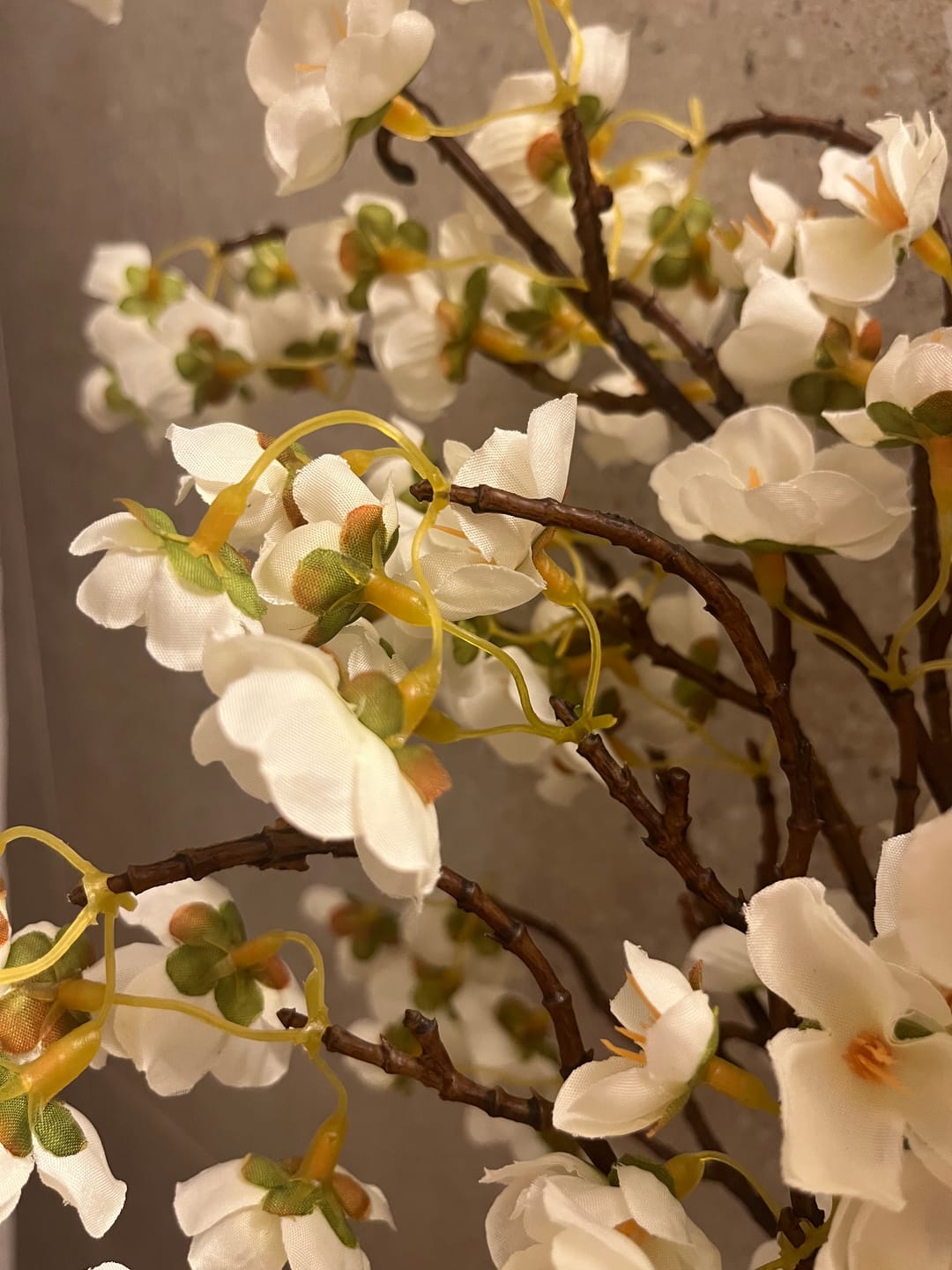Customer photo review of Fleur de Cerisier - Blanc (3 tiges)