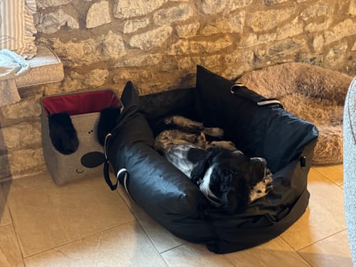 Customer's dog curled up and sleeping comfortably inside the black Dog Dock on a tiled floor.