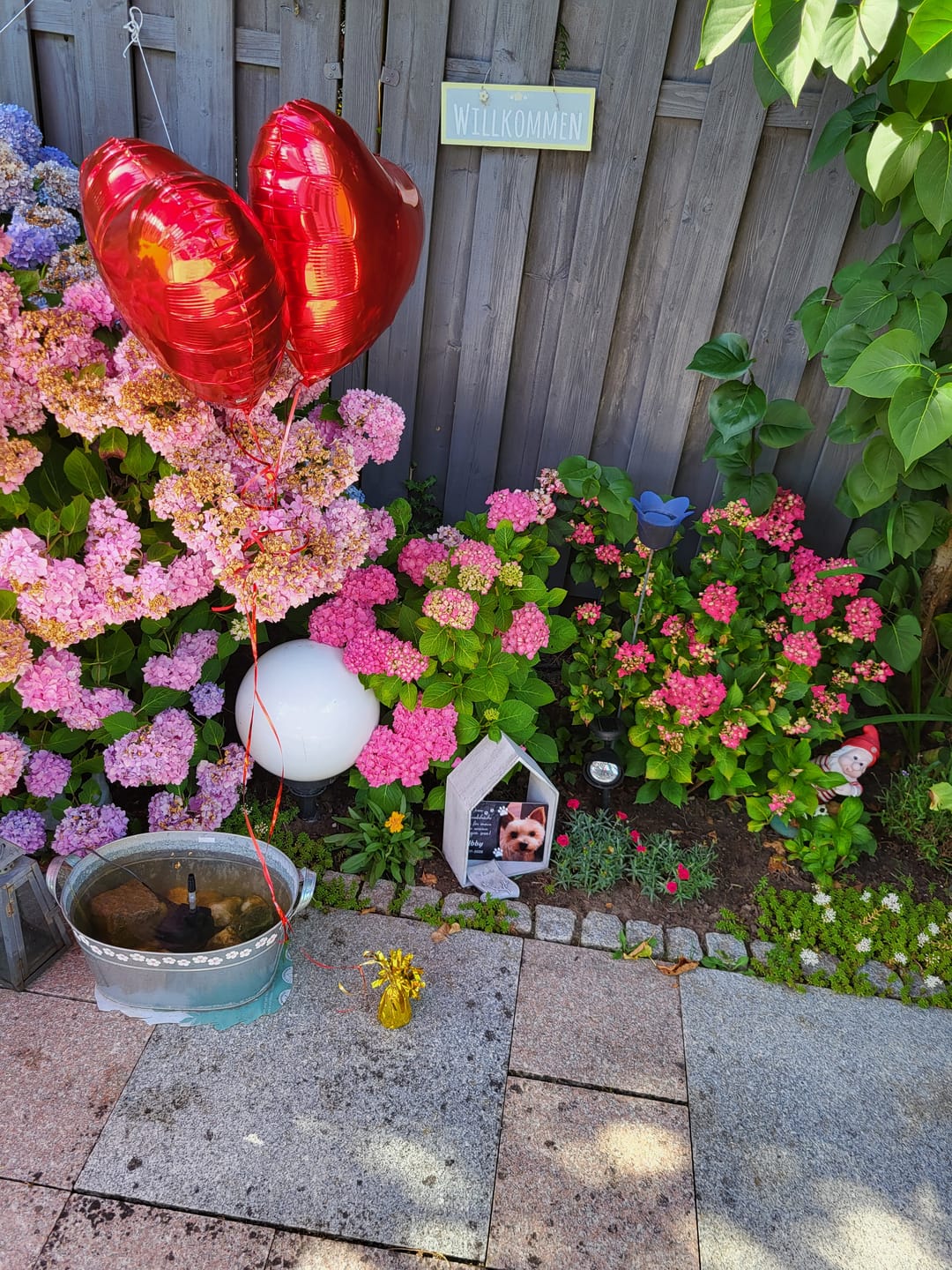 Customer photo review of Hunde Gedenktafel mit Foto & Spruch (UV- & Wetterfest)