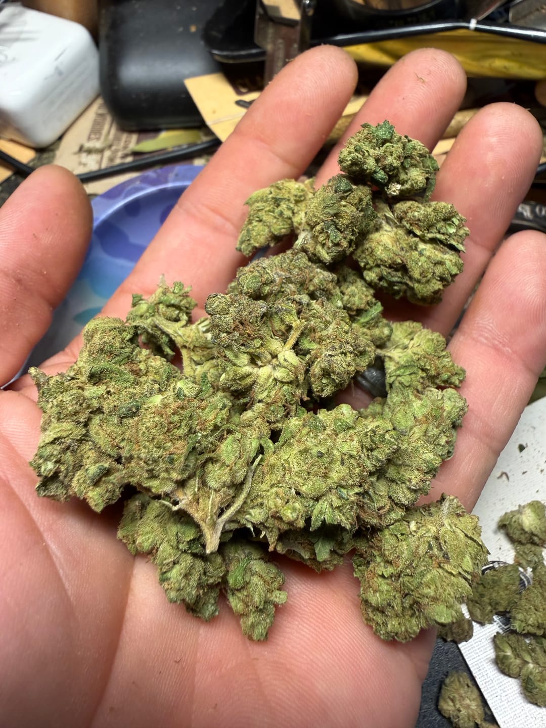 Customer photo review of Horchata Gas - Bulk - Hybrid