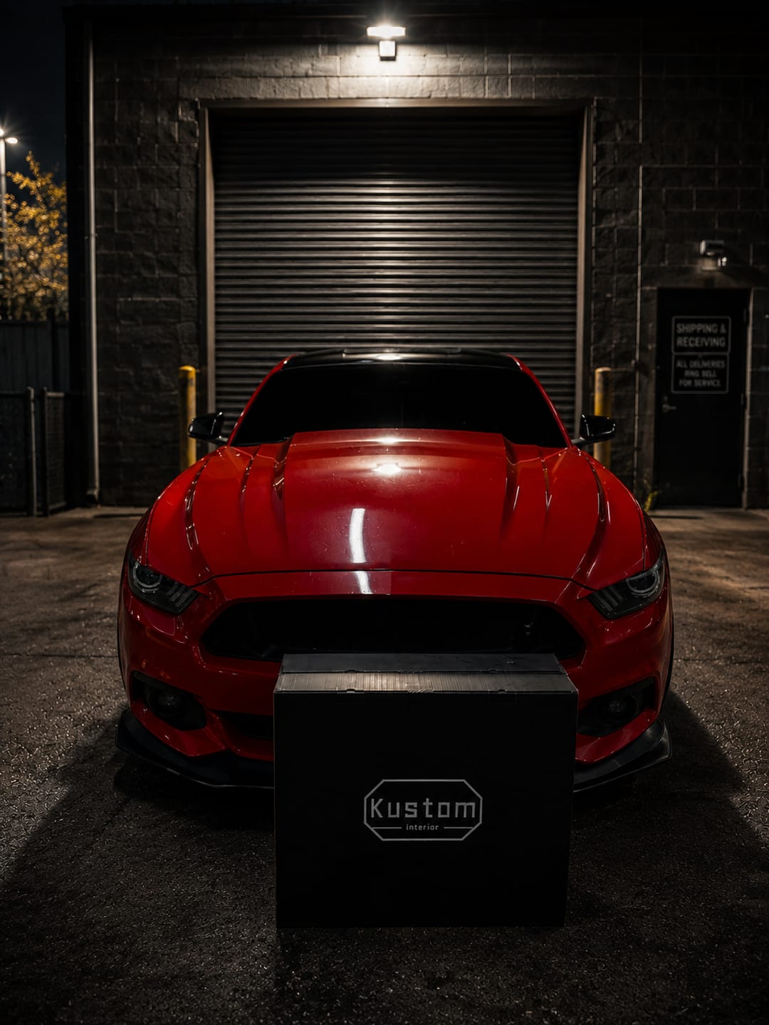 Customer photo review of 2015-23 Ford Mustang S550 Coupe Leather Seat Covers