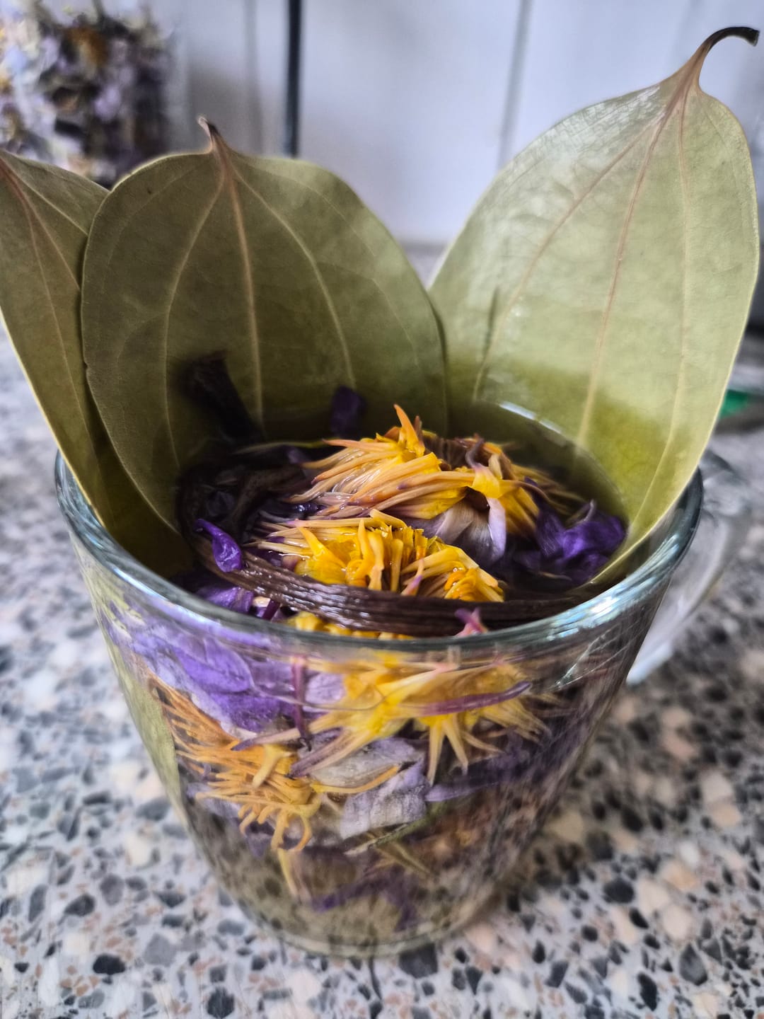 Customer photo review of PRE ORDER Blue Lotus Stems