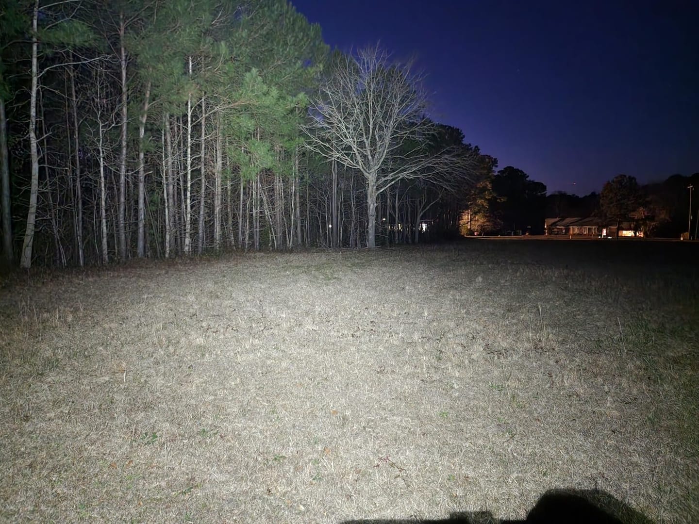 Customer photo review of NU43 - 1400 lumens