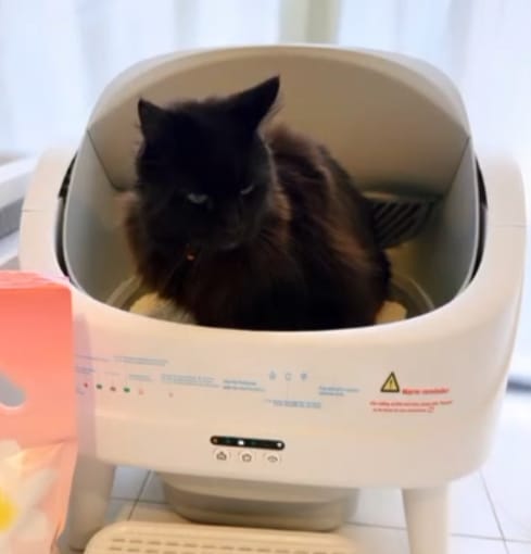Customer photo review of Petbuds™ Open One 2026 Open-Top Self-Cleaning Litter Box