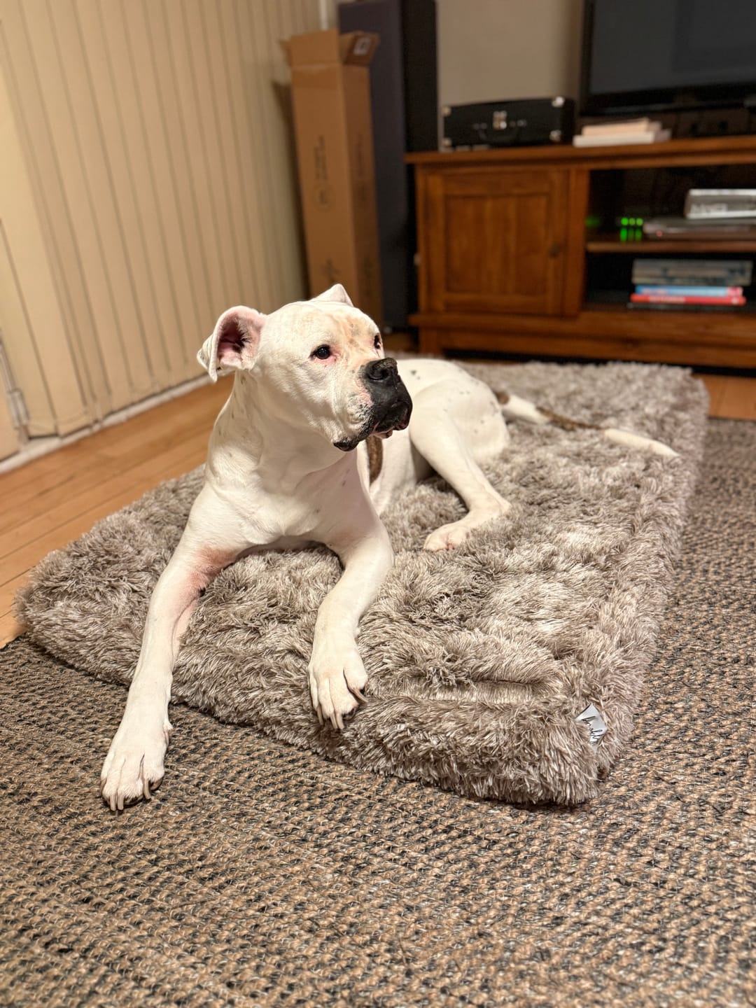 Customer photo review of Brooklyn® Ultra Memory Foam Bed