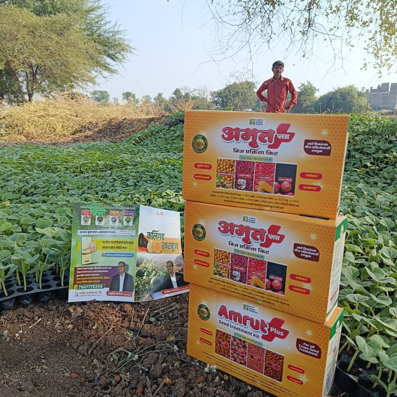 Customer photo review of Amrut Plus Seed Treatment Kit