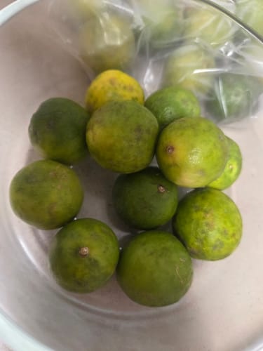 Customer photo review of Organic Key Limes 3 lbs
