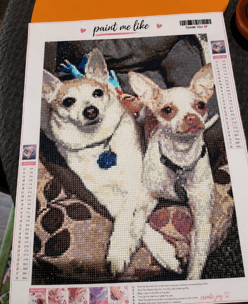 Customer photo review of Custom Paint by Number Kit