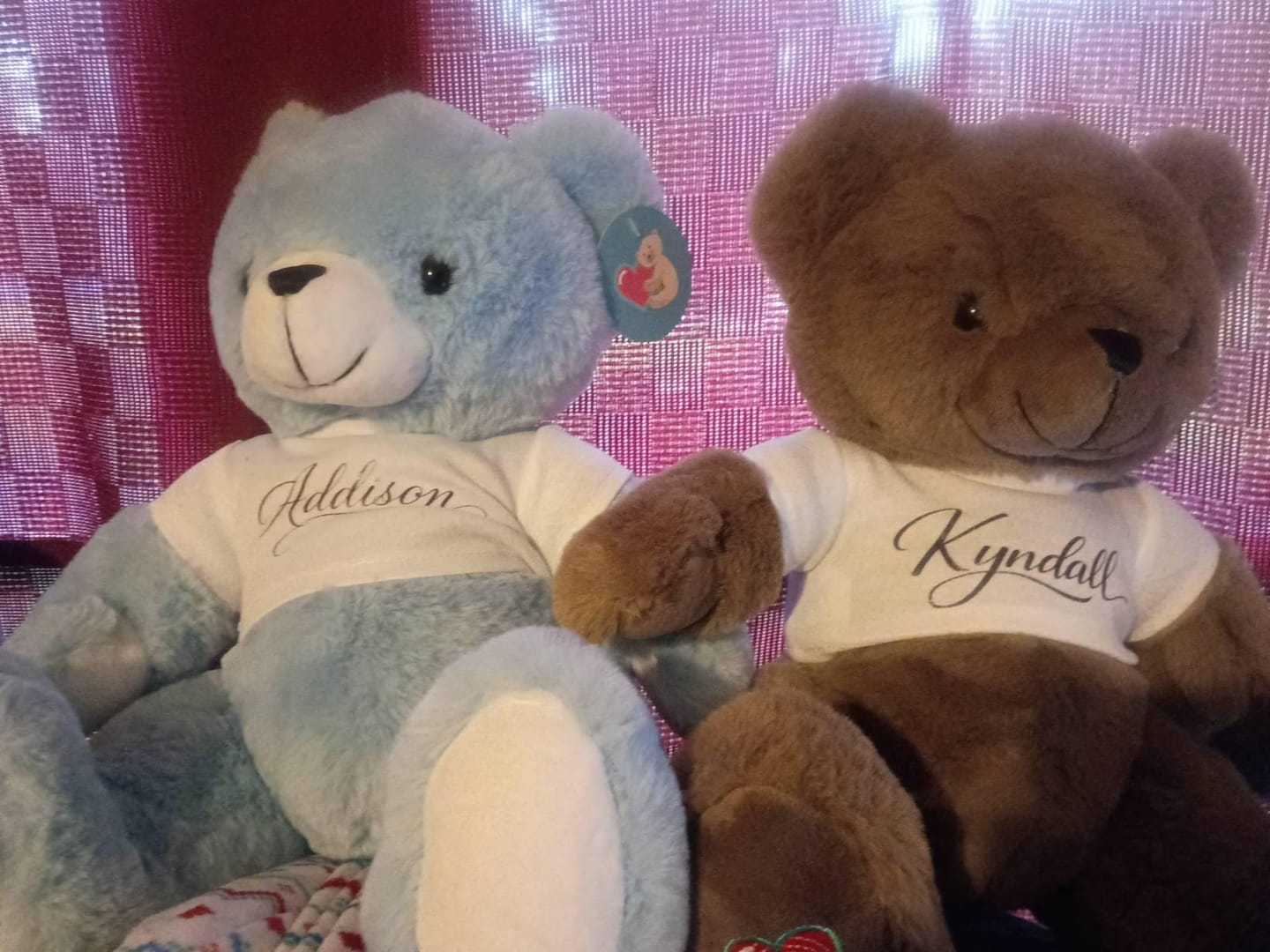 Customer photo review of Custom Stuffed Animal T-Shirt, Personalized Plushie Clothing (Fits 8 Inch)