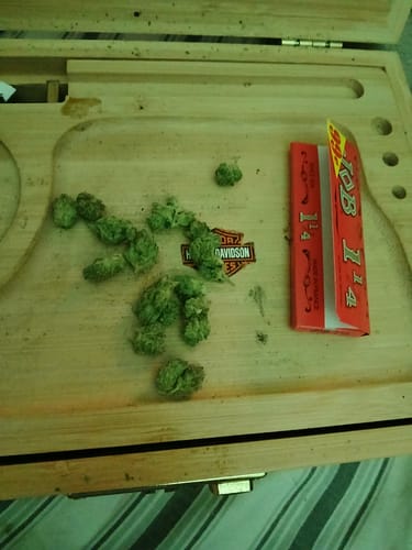 Blueberry Zkittles - Indoor - 4 Grams - Indica photo review