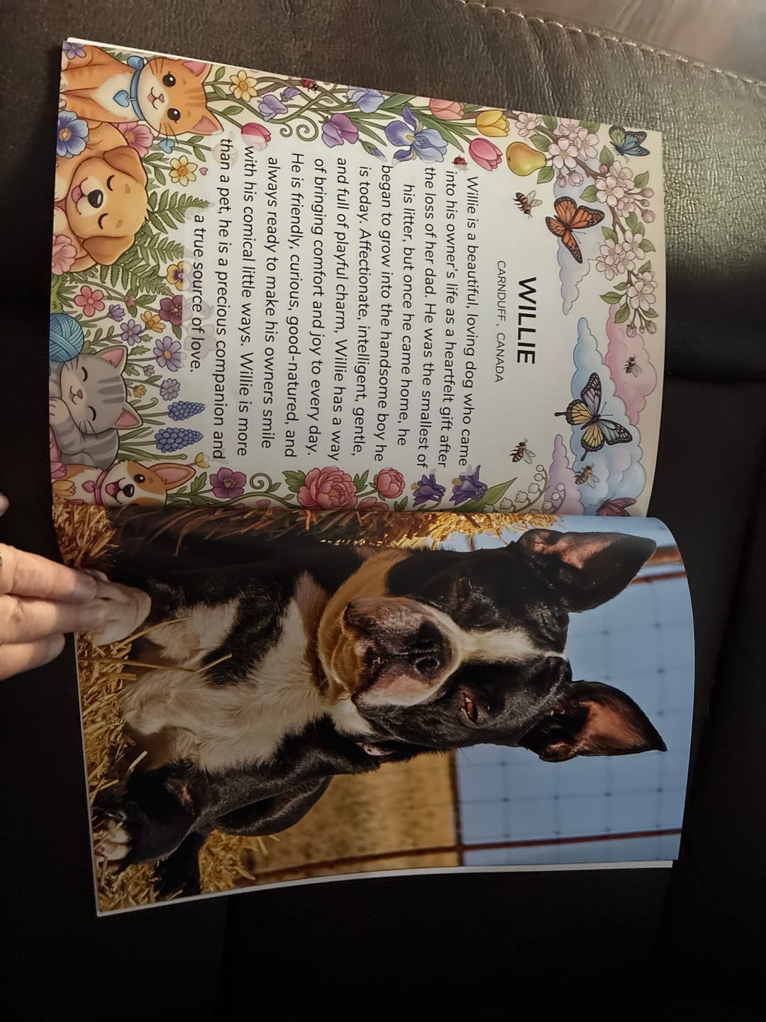 Customer photo review of Cutest Pets of Pupvote Spring 2026