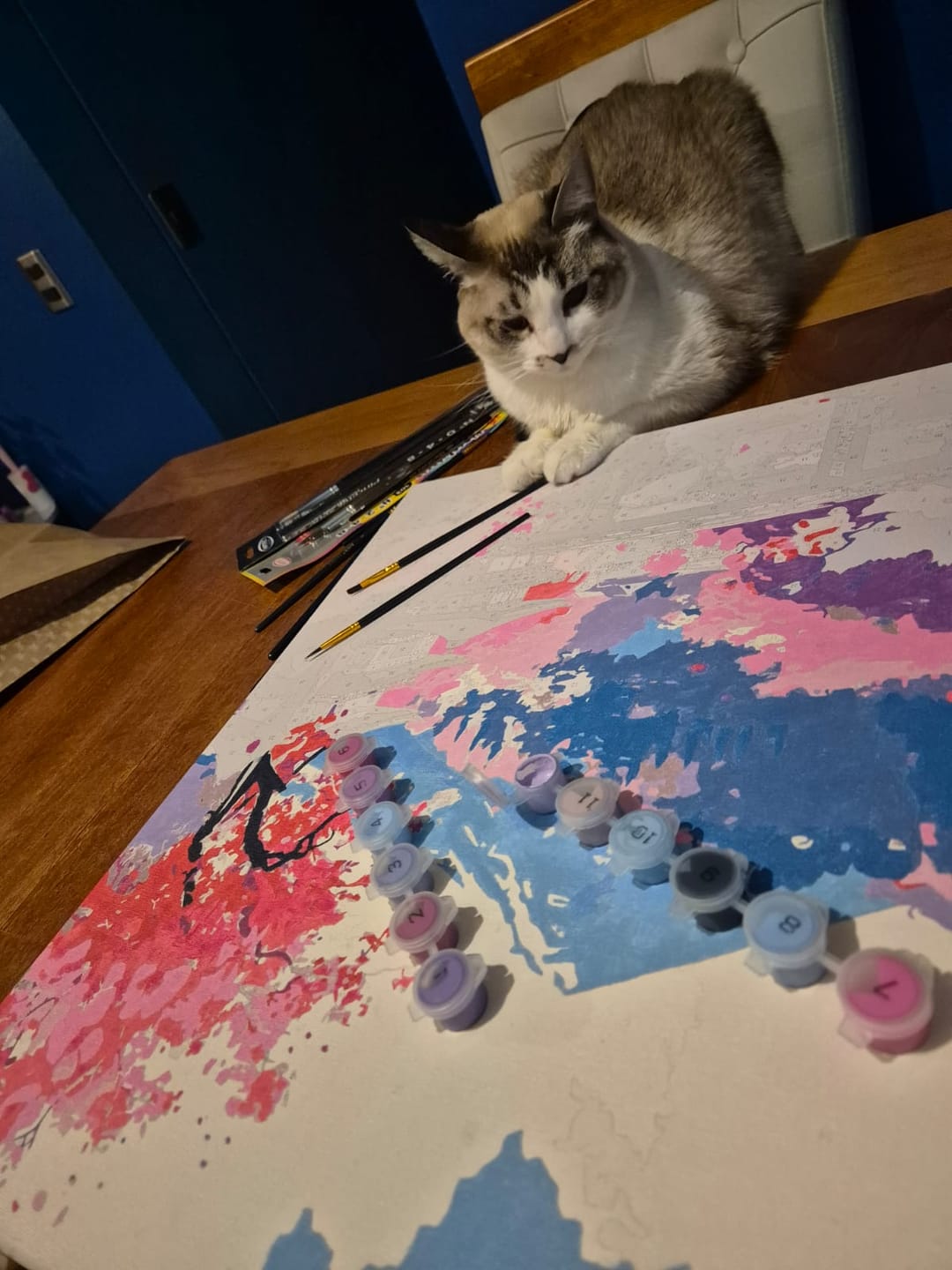 Customer photo review of Monte Fuji (Pintura por Números) 40x50 cm