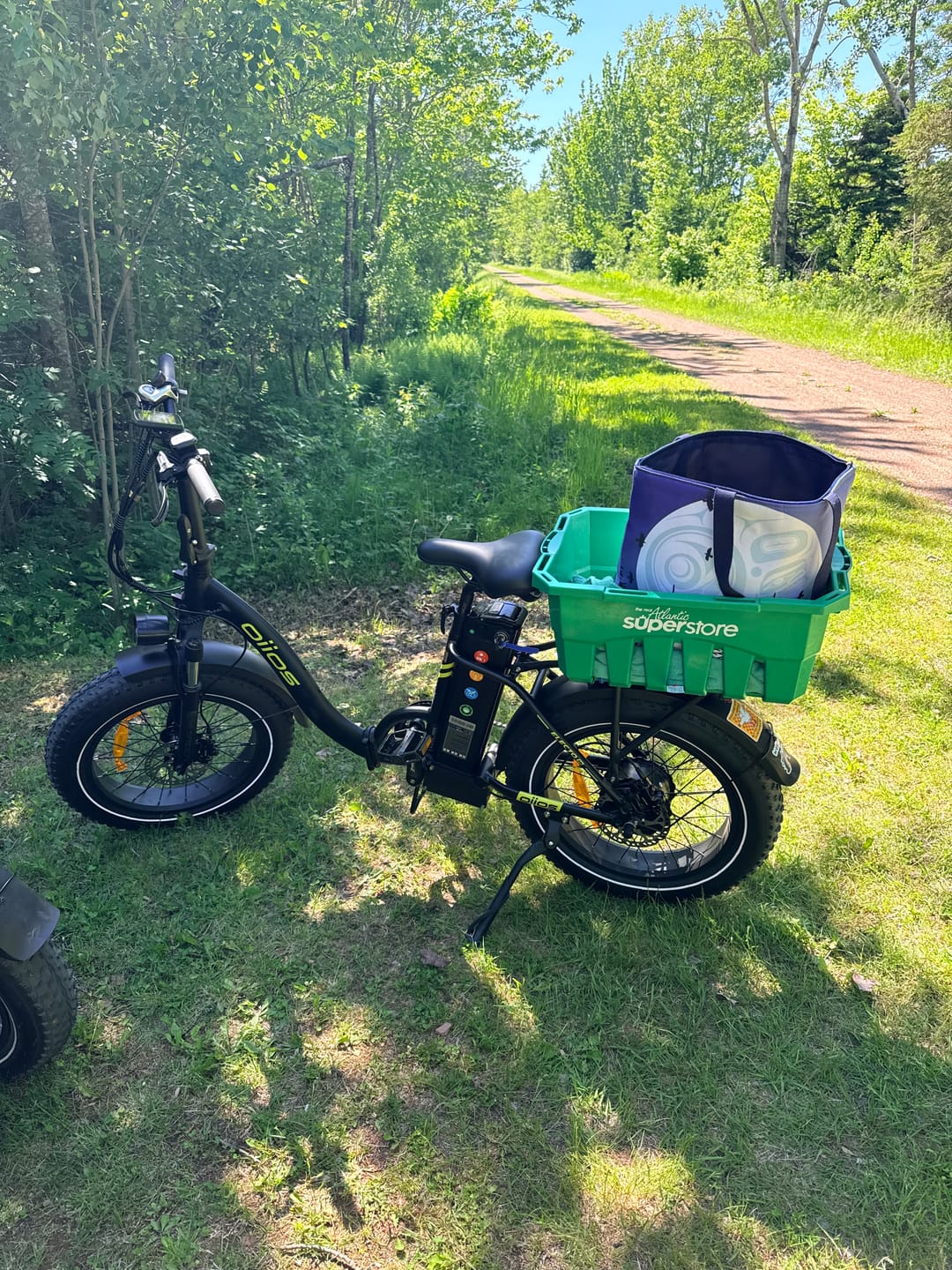 Customer photo review of Oiios Electo Ebike