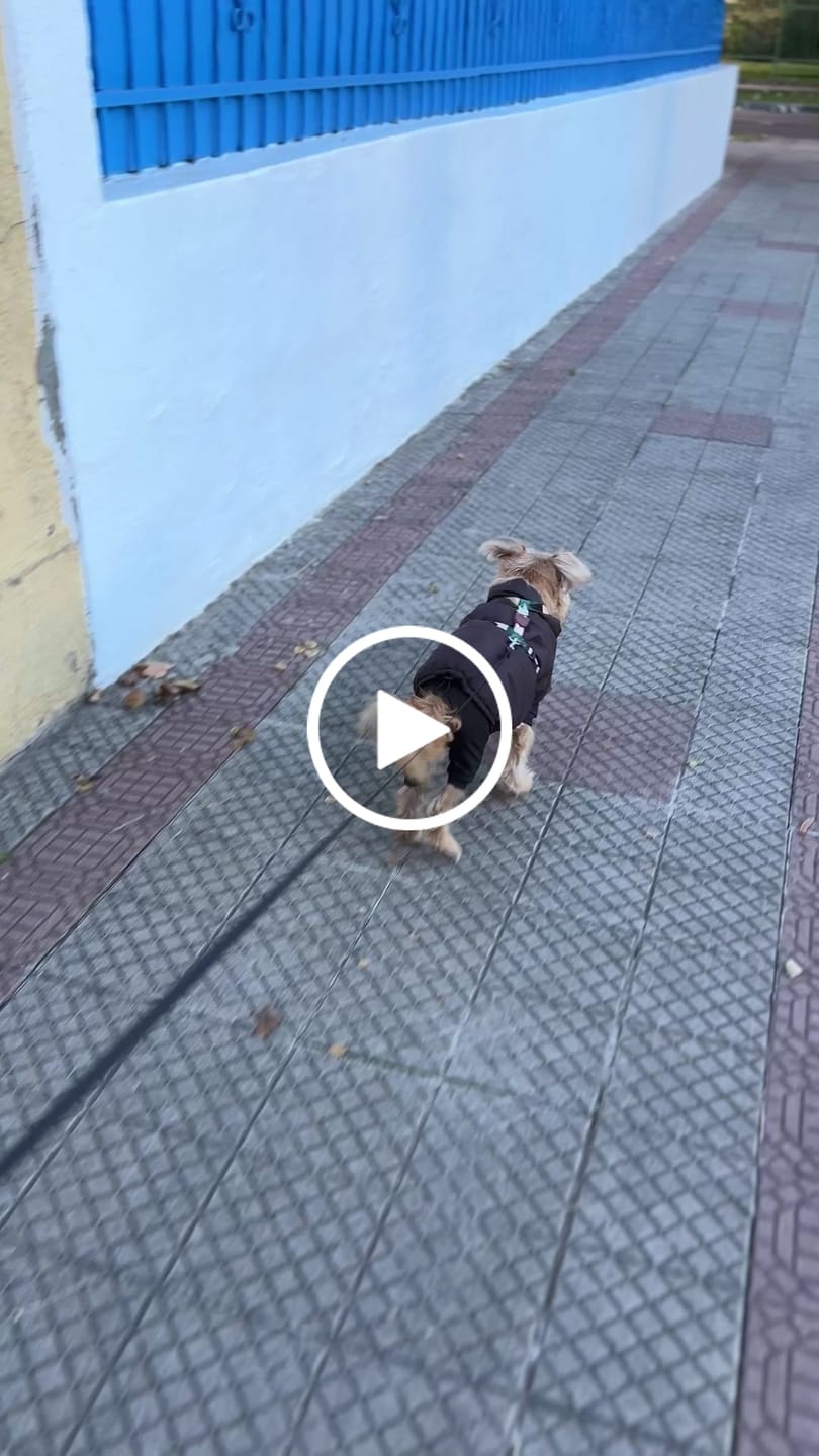 Customer video review of Chaqueta Puffer de Invierno – Chocolate