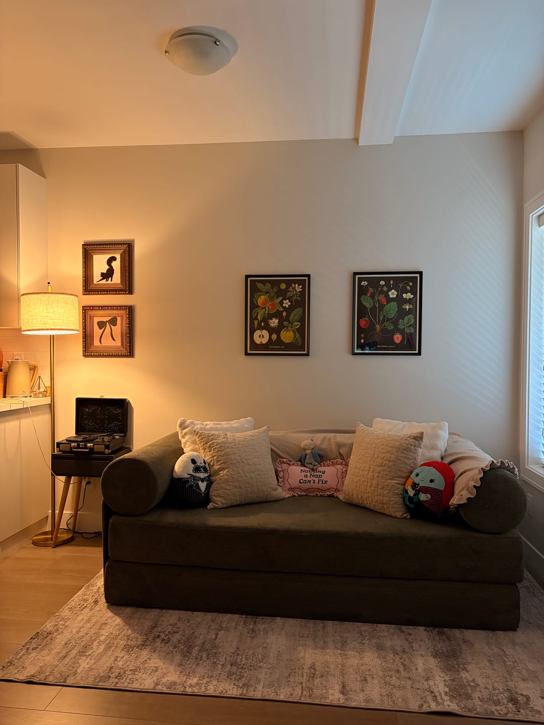 Customer photo review of S8 Sleeper Sofa Bed