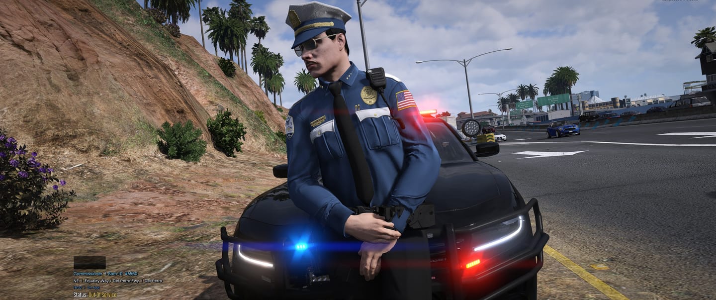 Customer photo review of 2025 LSPD EUP Package