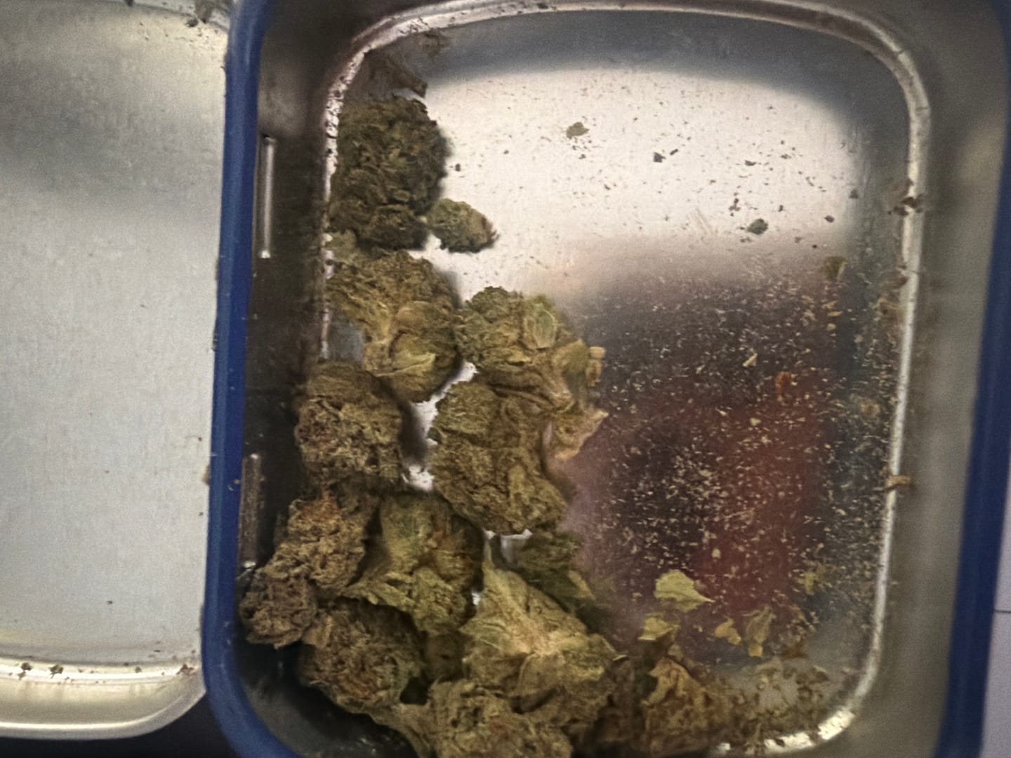 Customer photo review of Candy Runtz - Minis - 28 Grams - Hybrid