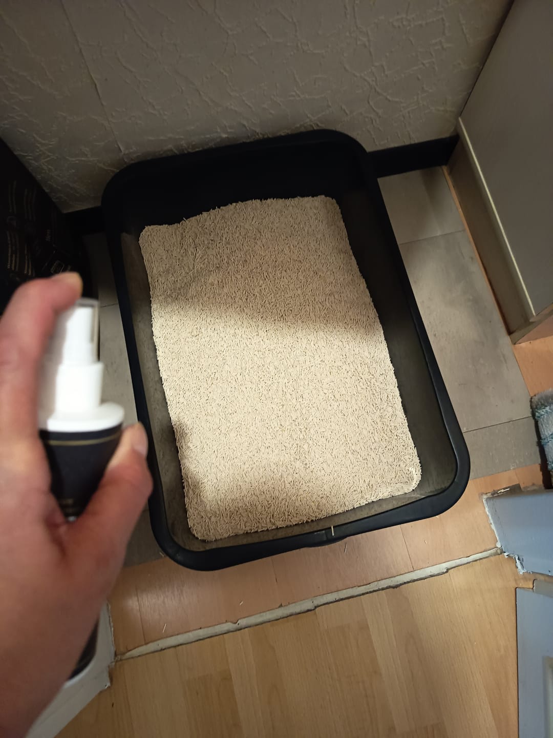Customer photo review of Geruchsblocker Frischespray
