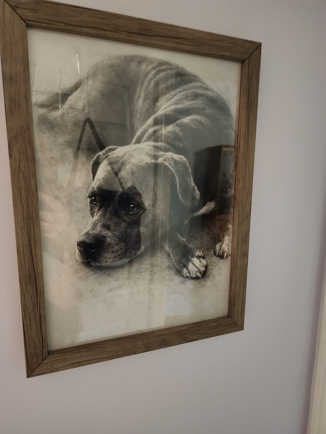 Customer photo review of Charcoal - Personalized Poster