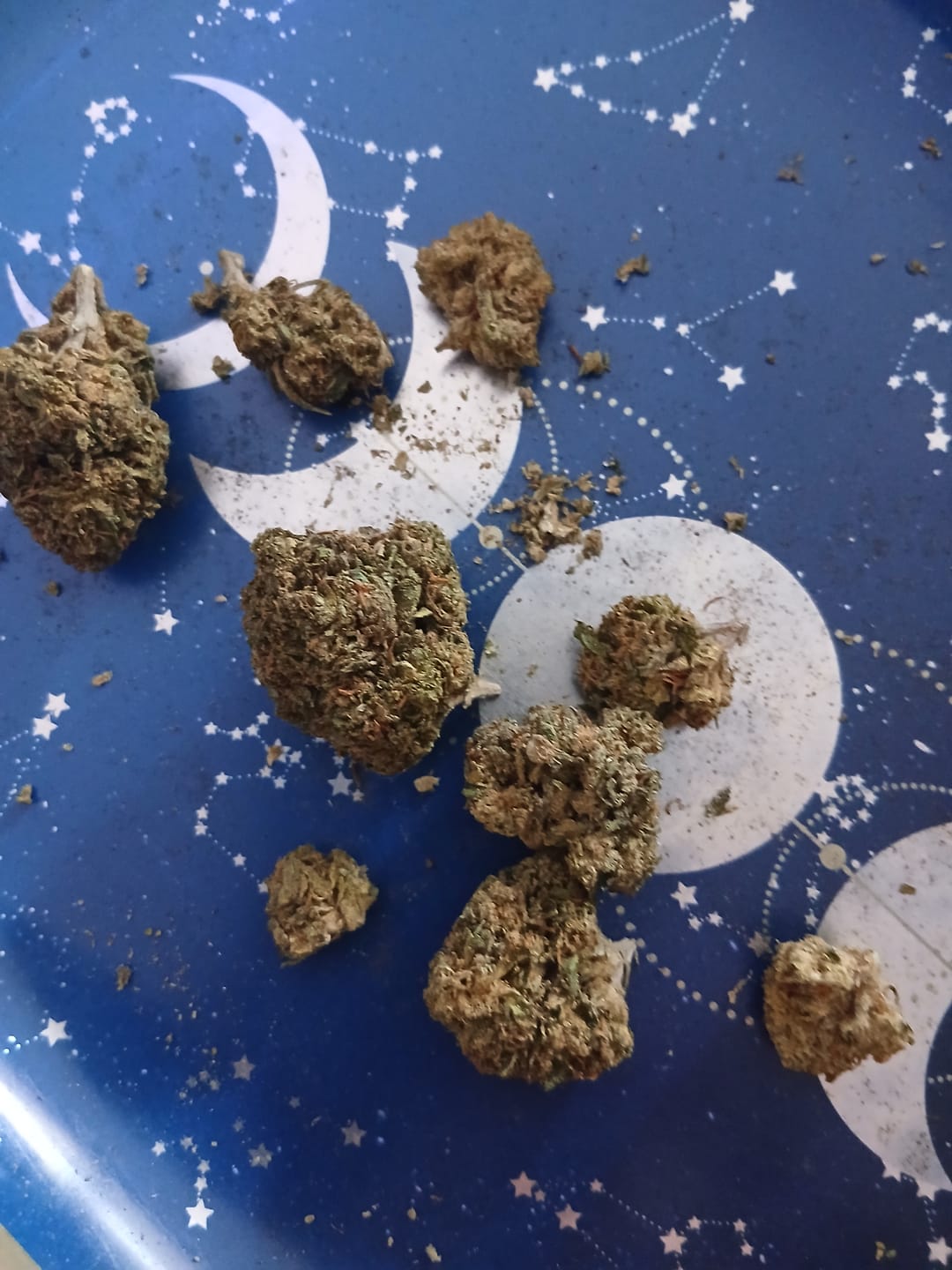 Customer photo review of Gas Candy - 14 Grams - Hybrid