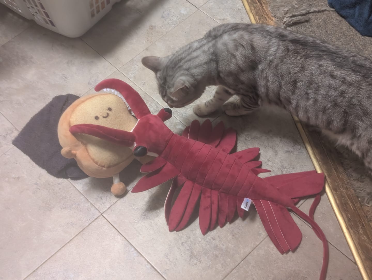 Customer photo review of Anomalocaris Arthropod Soft Stuffed Plush Toy
