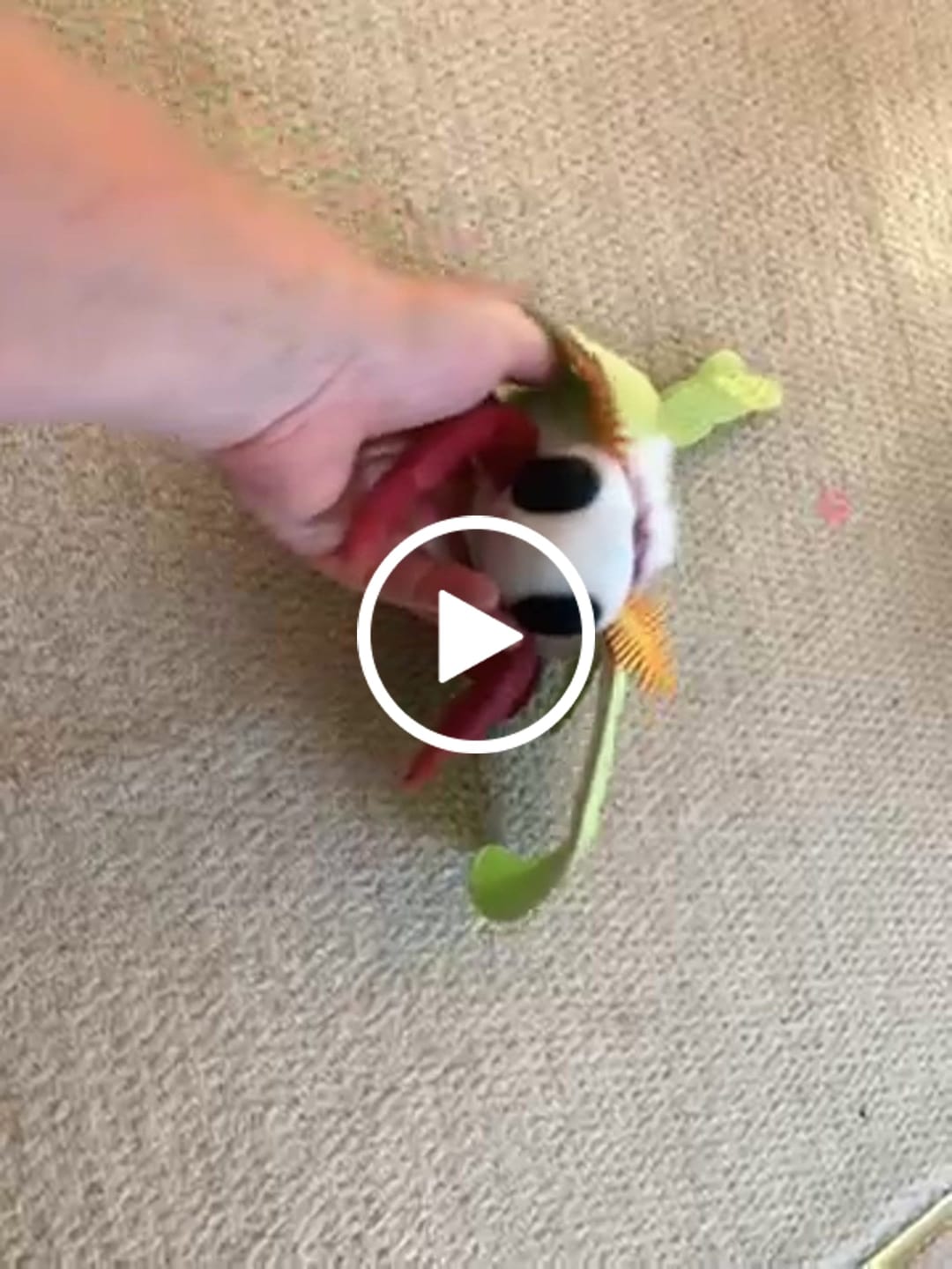 Customer video review of Indian Moon Moth Soft Stuffed Plush Toy