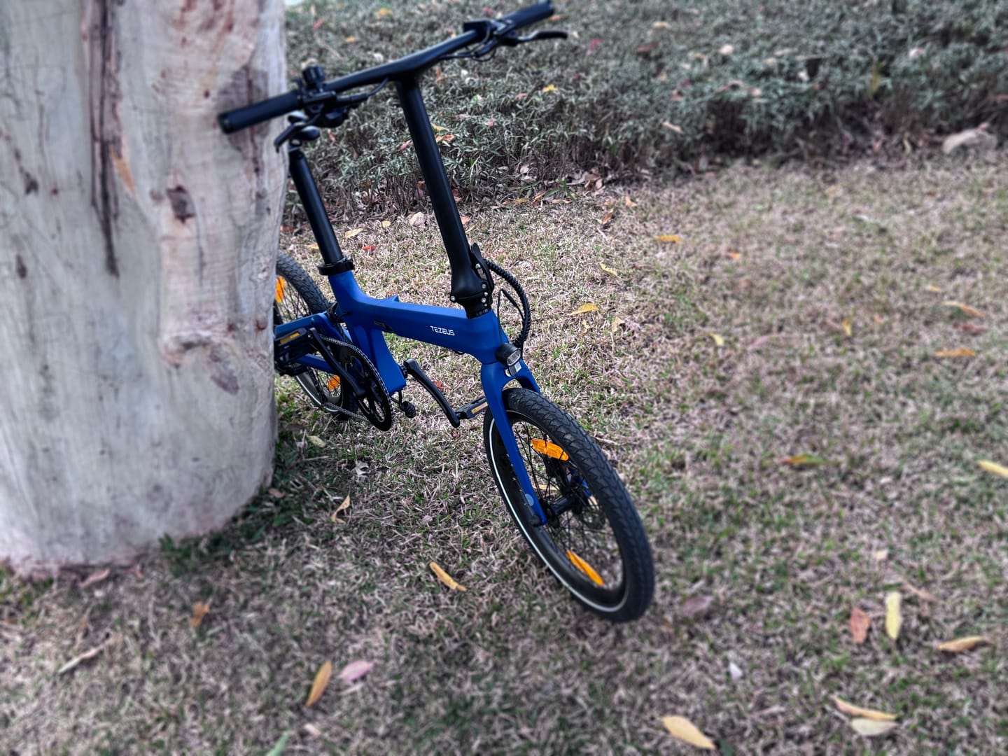 Customer photo review of Tezeus Swift