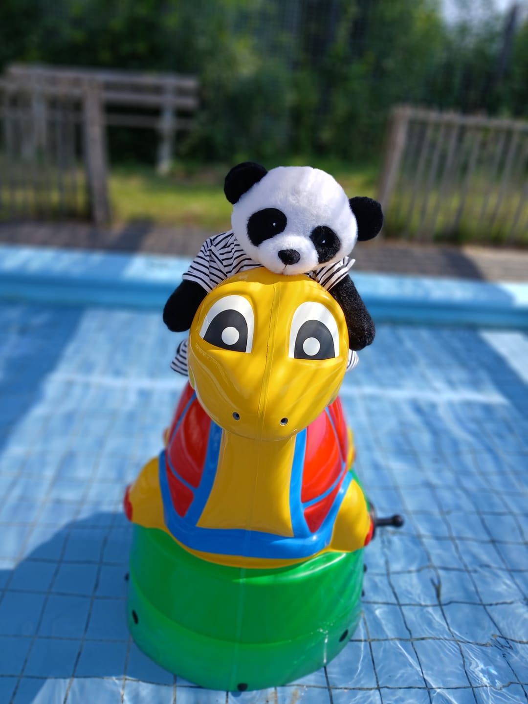 Customer photo review of Lotgenootje Panda 2kg