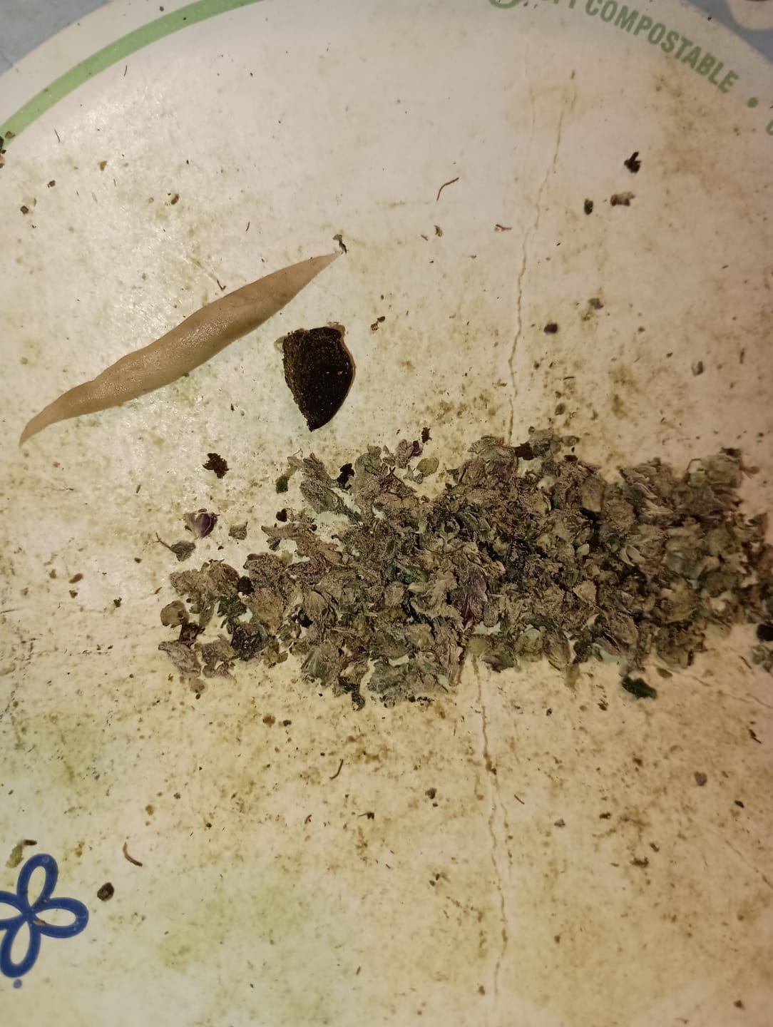 Customer photo review of Boutique Exotics - Obama Runtz - 14 Grams - Hybrid