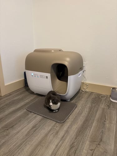 Customer photo review of Self-Cleaning Litter Box