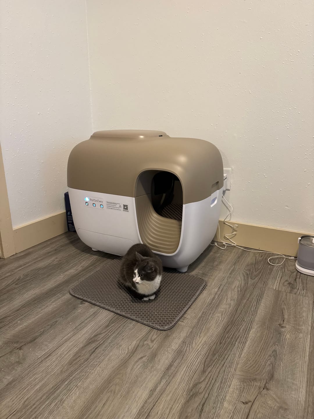 Customer photo review of Self-Cleaning Litter Box