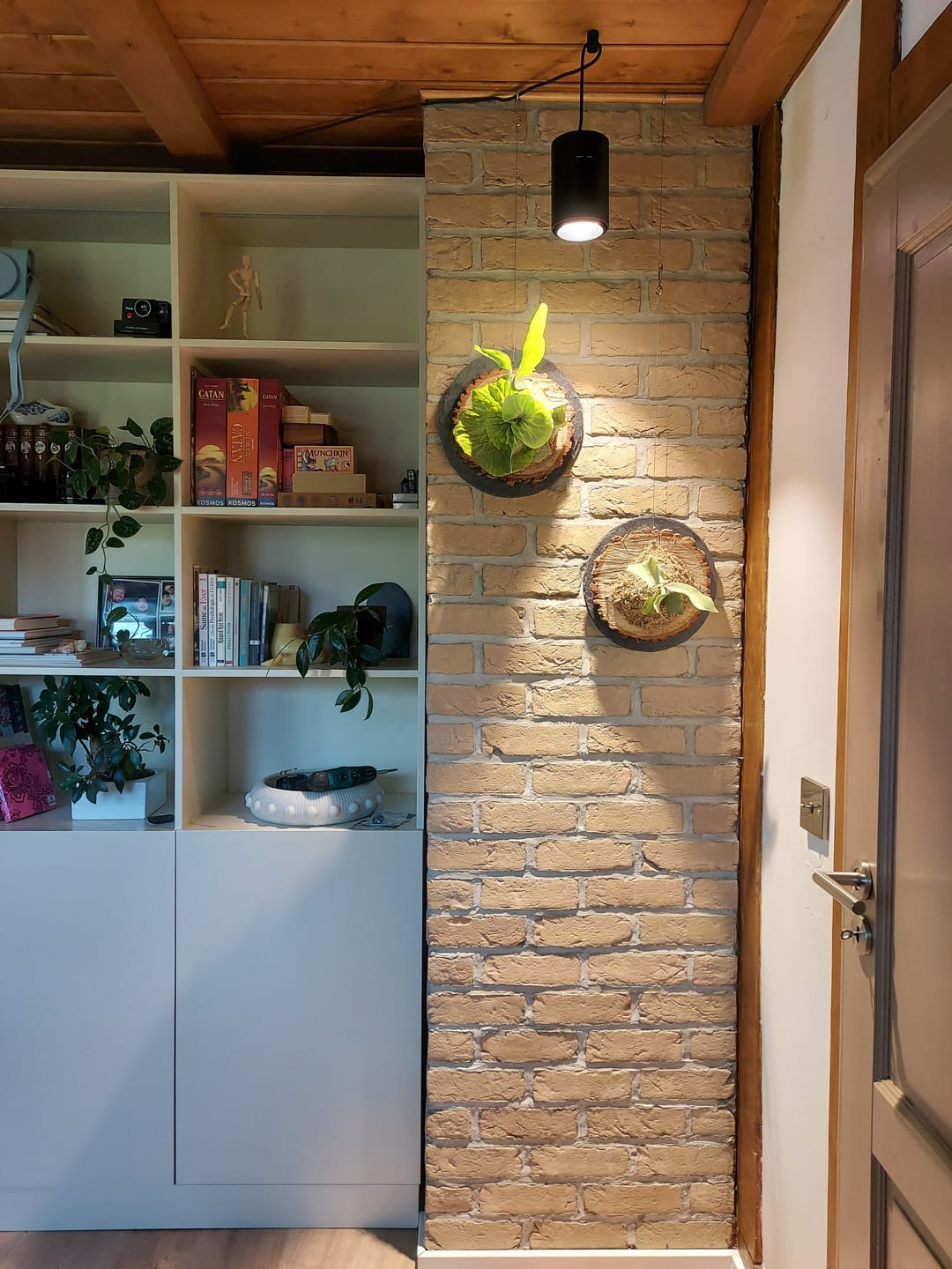 Customer photo review of Claria LED-Pendel­lampe für Pflanzen