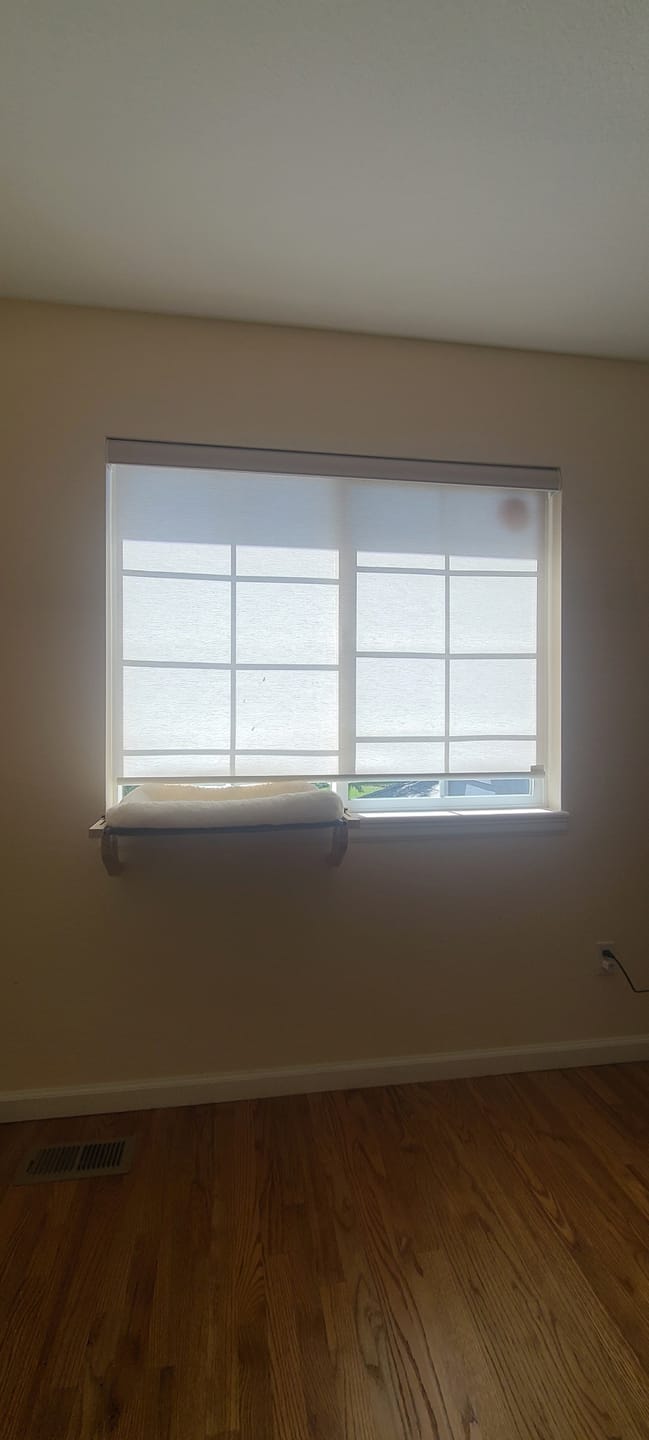 Customer photo review of SmartWings Motorized Light Filtering Roller Shades 70% Blackout Safari