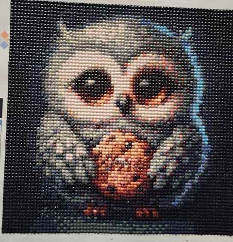 Das fertige 'Eule' Diamond Painting eines Kunden. Es zeigt eine süße Eule aus Steinchen, die einen Keks hält.