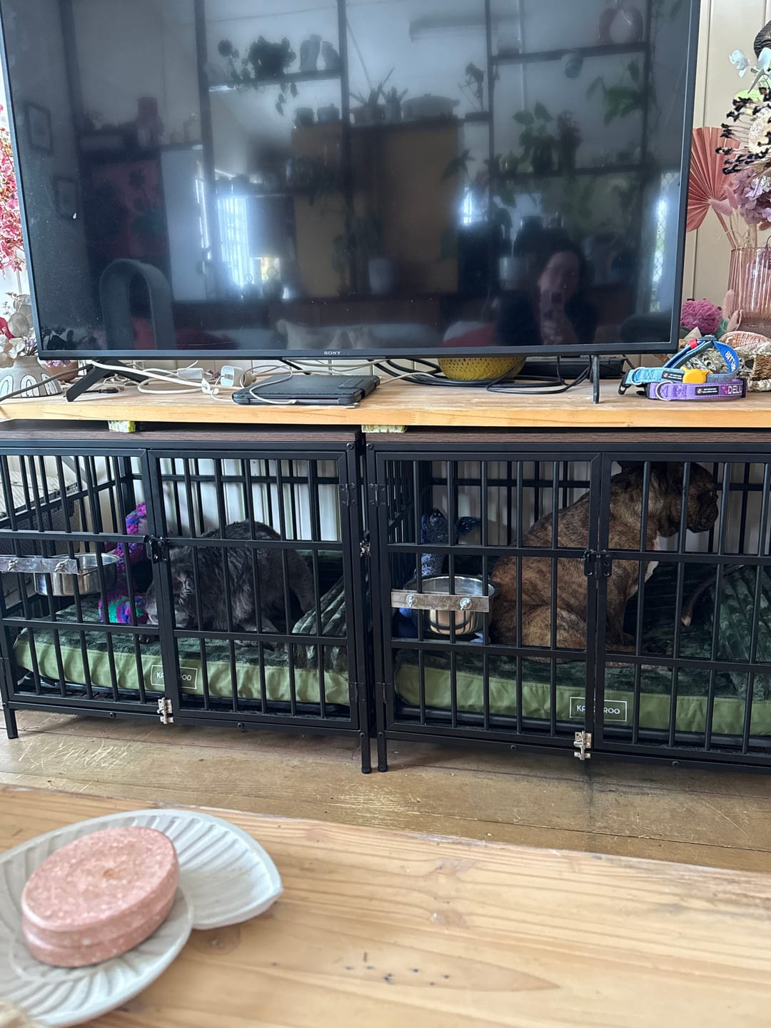 Customer photo review of Dune Plush Cover For Crate Mat