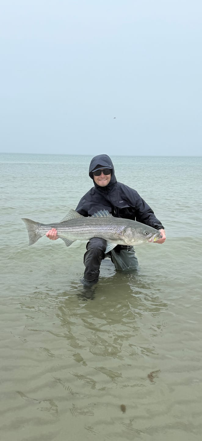 Customer photo review of Mocean HTJ Jacket Black