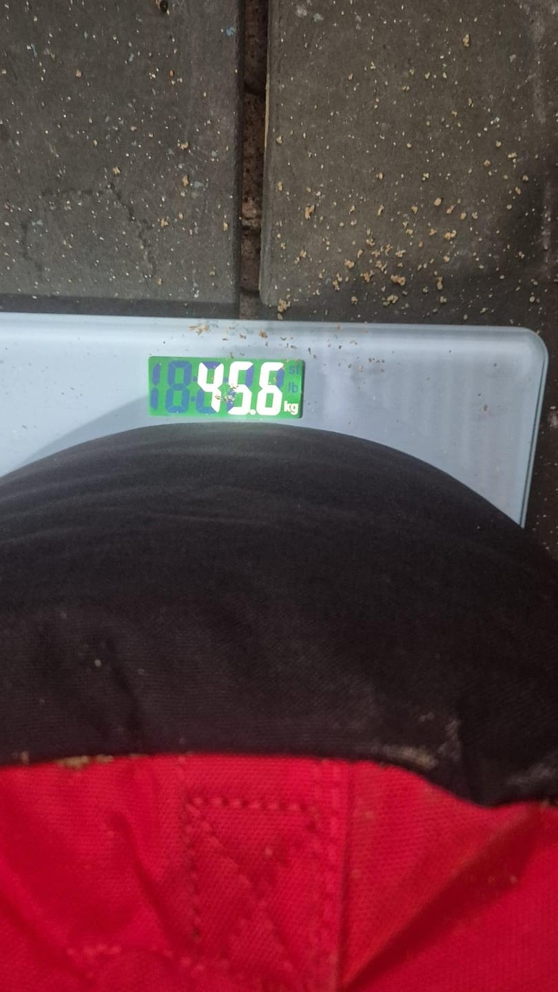 Customer photo review of Strongman Sandbag V3