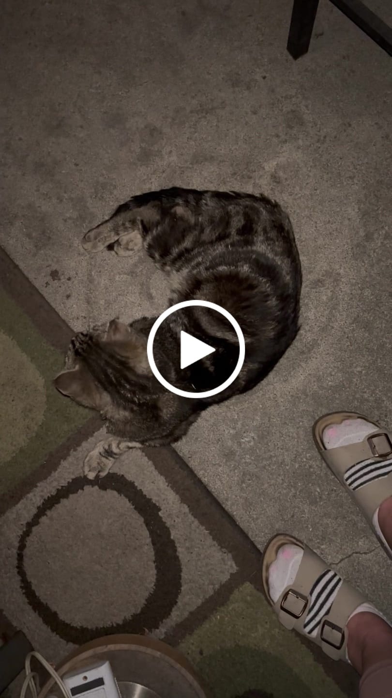 Customer video review of Cat Dental Care & Bad Breath Remedy
