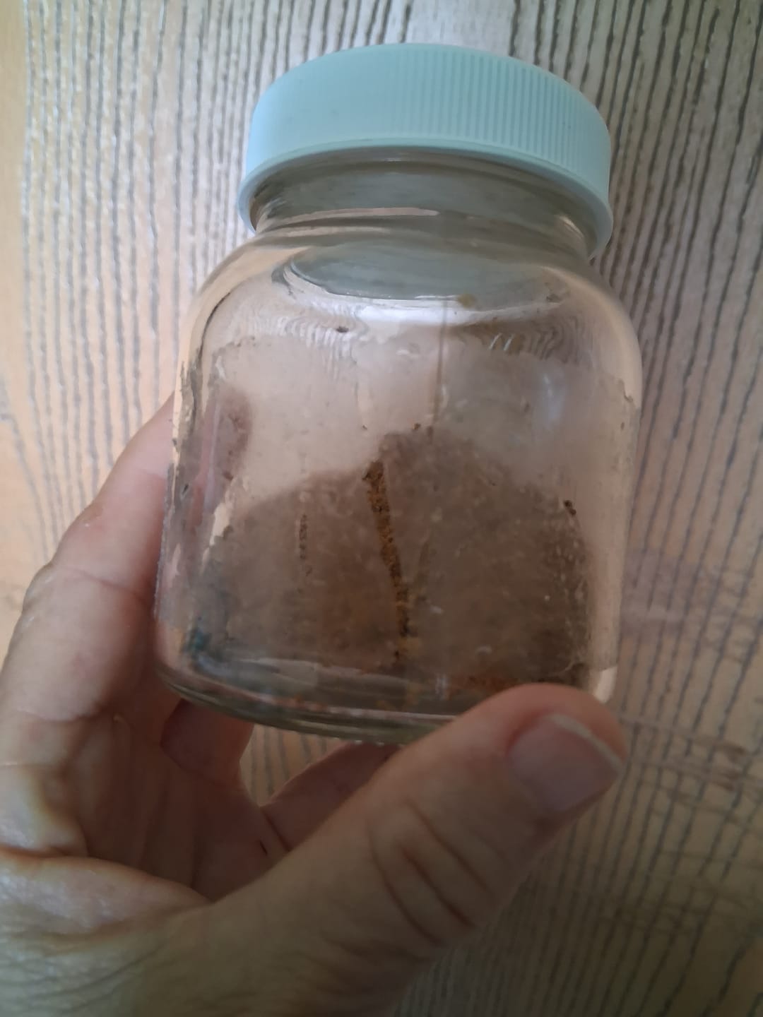 Customer photo review of Beef Liver