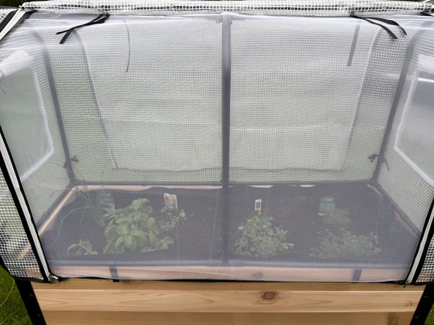 Customer photo review of Greenhouse Cover