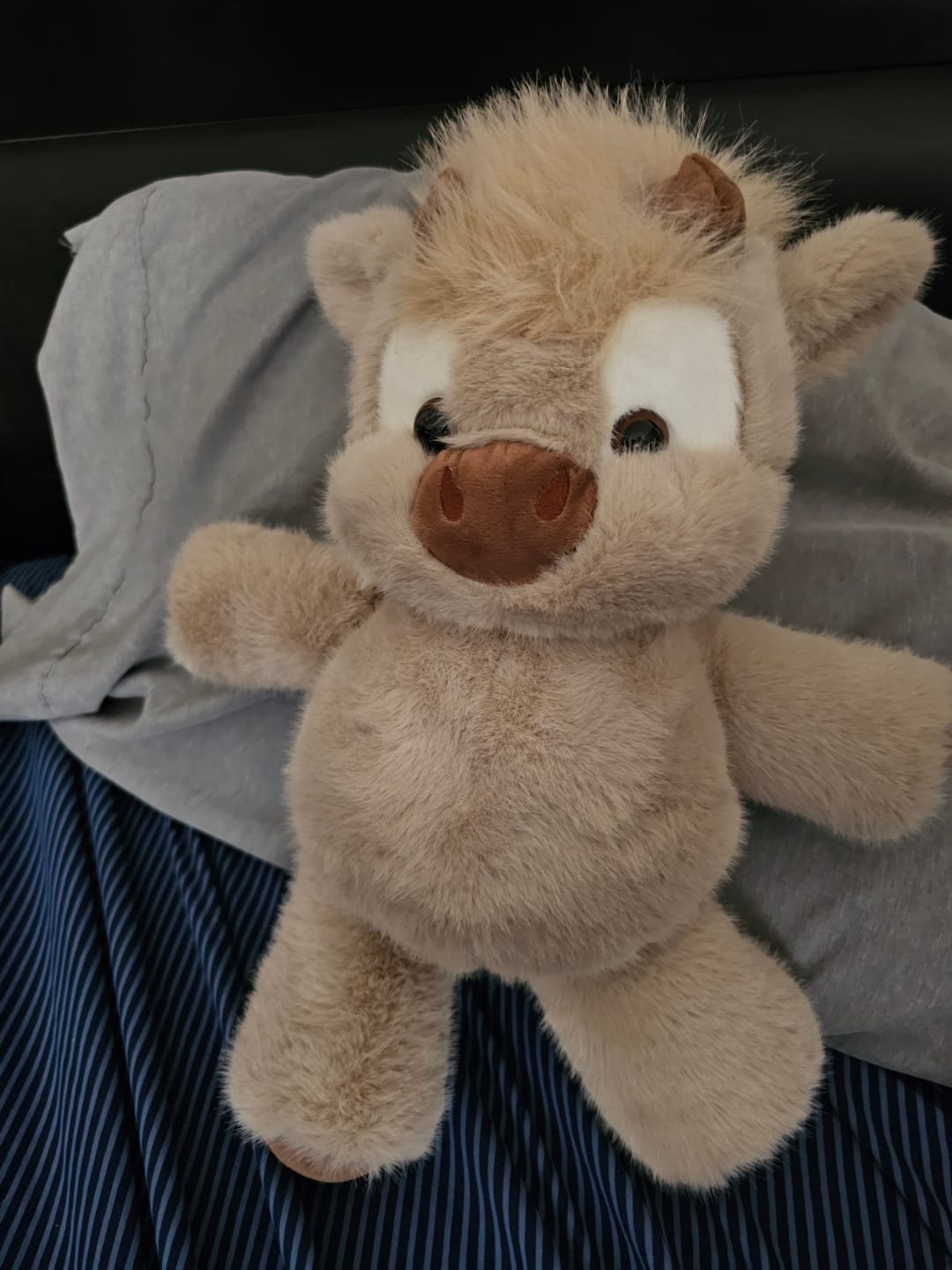 Customer photo review of Original Movito™ El peluche que corre