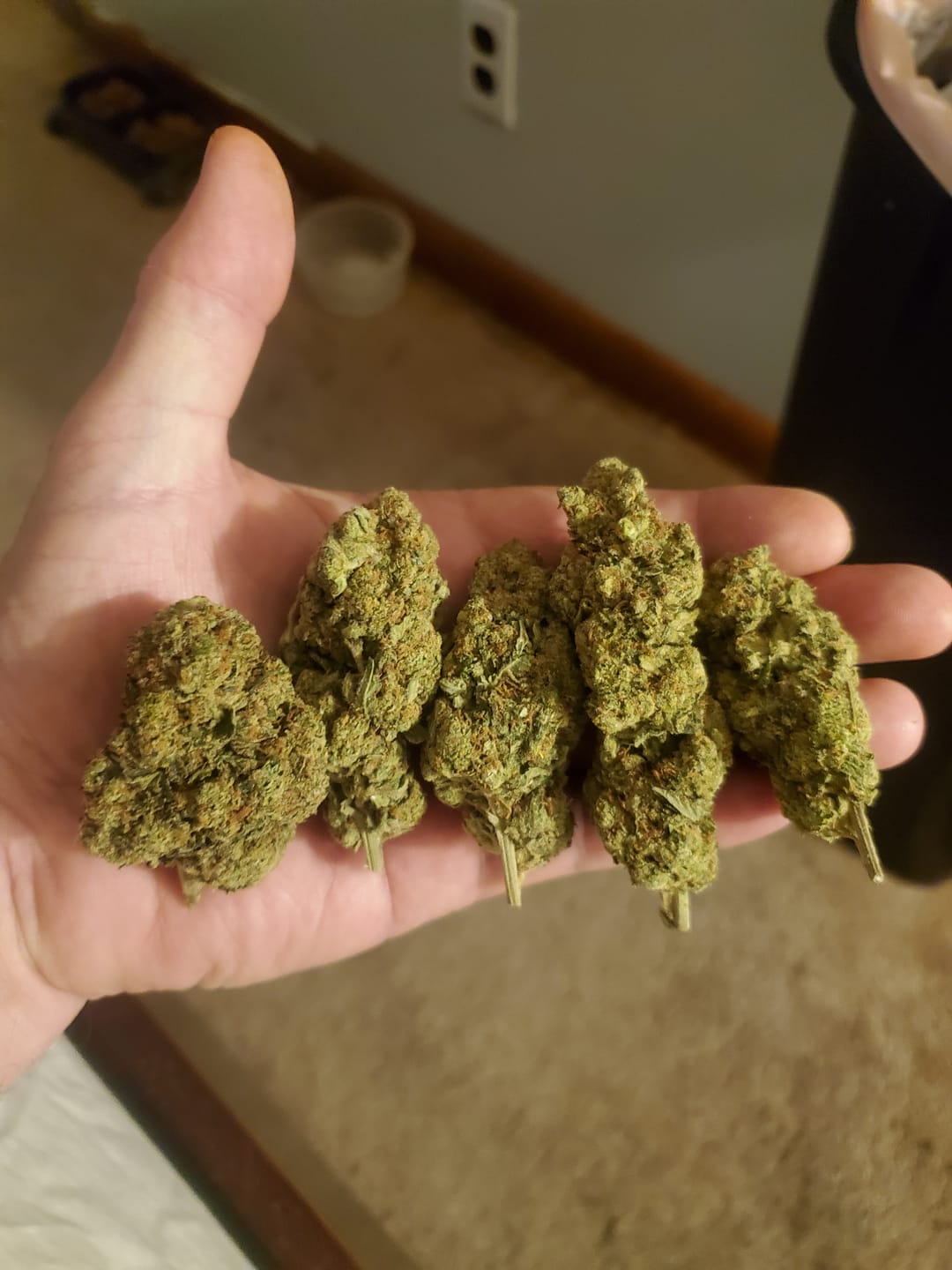 Customer photo review of Alien OG - Bulk - Indica