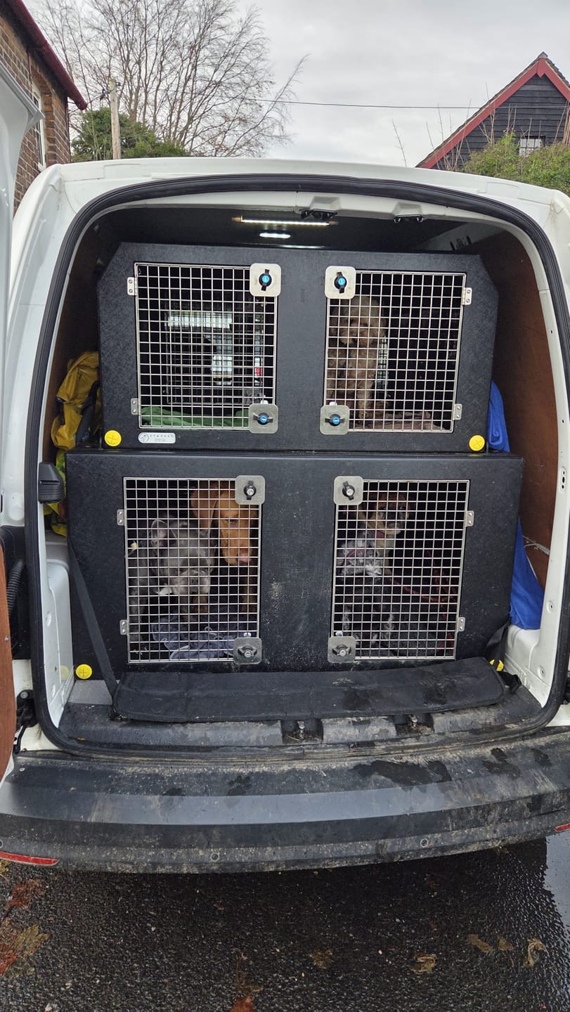 Customer photo review of Dog Van Kit | VW Caddy | 2013-Present | Double stack | DT VS1