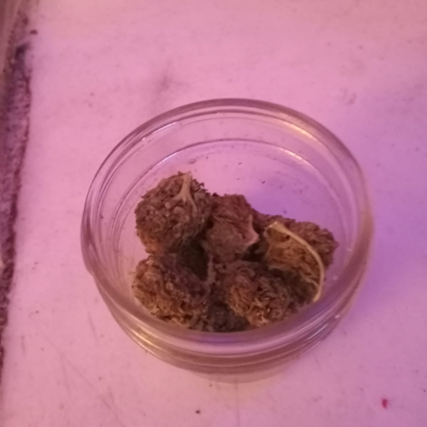 Customer photo review of Green Crack - 14 Grams - Sativa