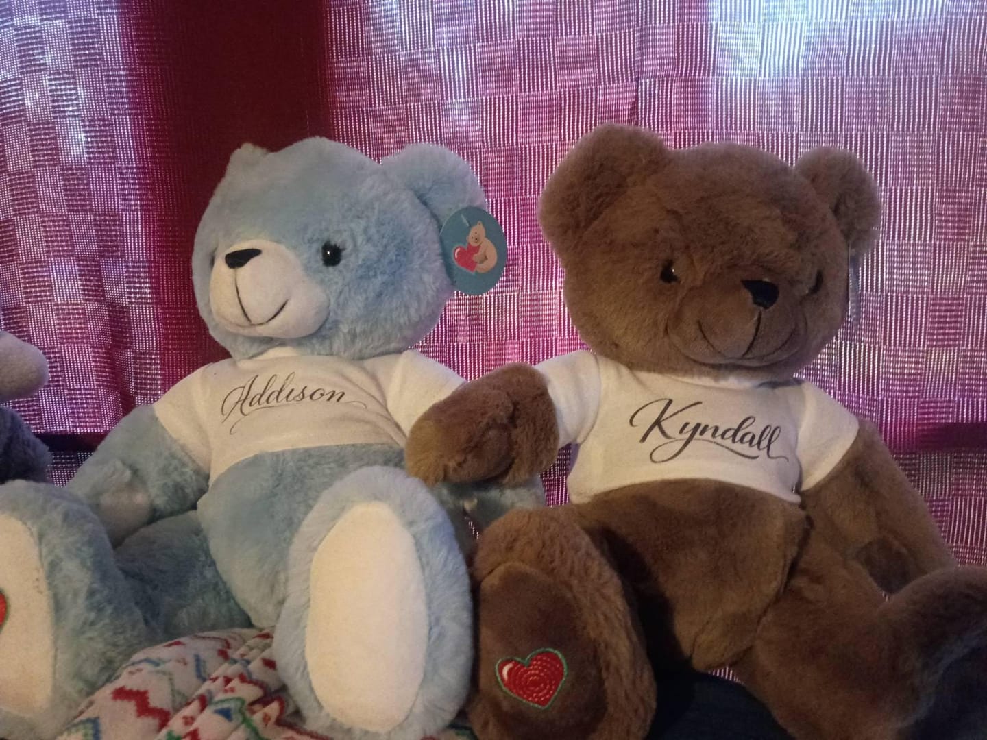 Customer photo review of Custom Stuffed Animal T-Shirt, Personalized Plushie Clothing (Fits 8 Inch)